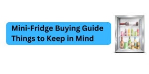 Mini-Fridge Buying Guide Things to Keep in Mind